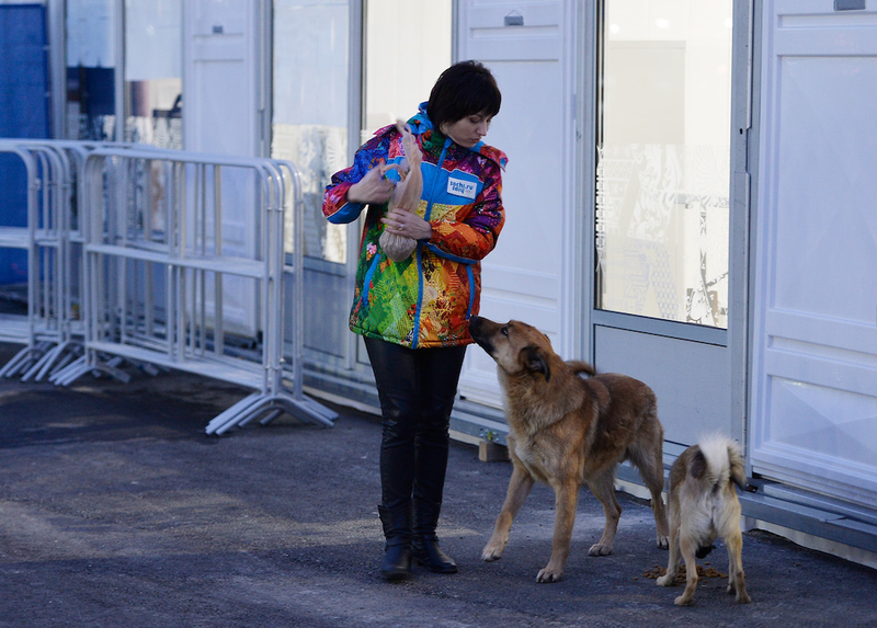 Illustration for article titled The Dogs Of Sochi